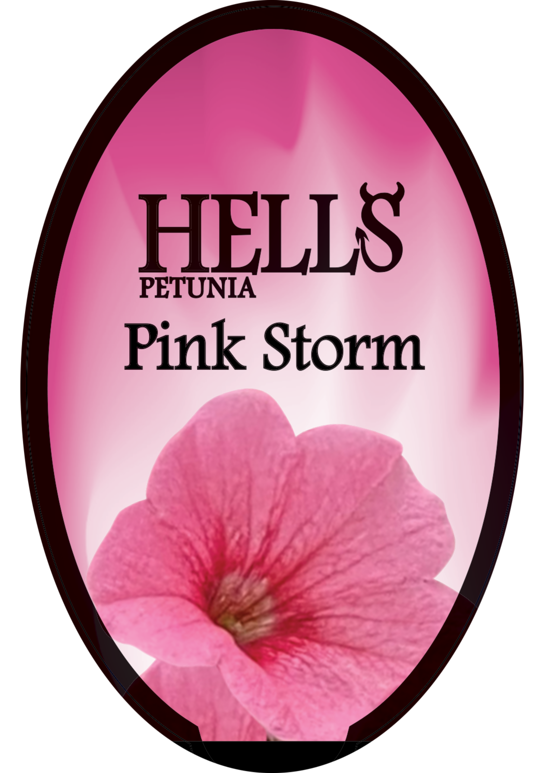 solution-section-icon