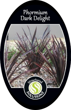 Phormium Dark Delight Label Front.