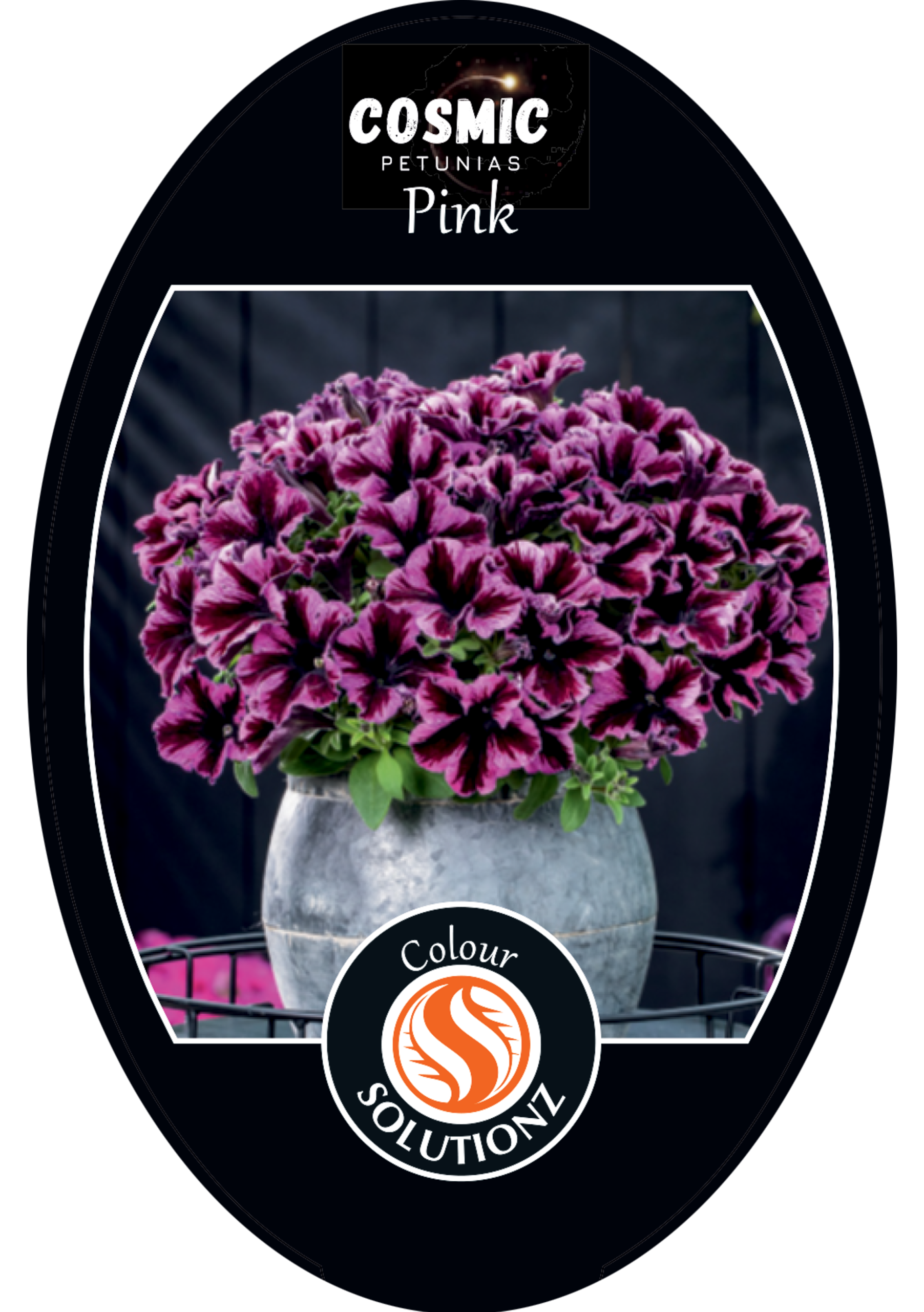 solution-section-icon