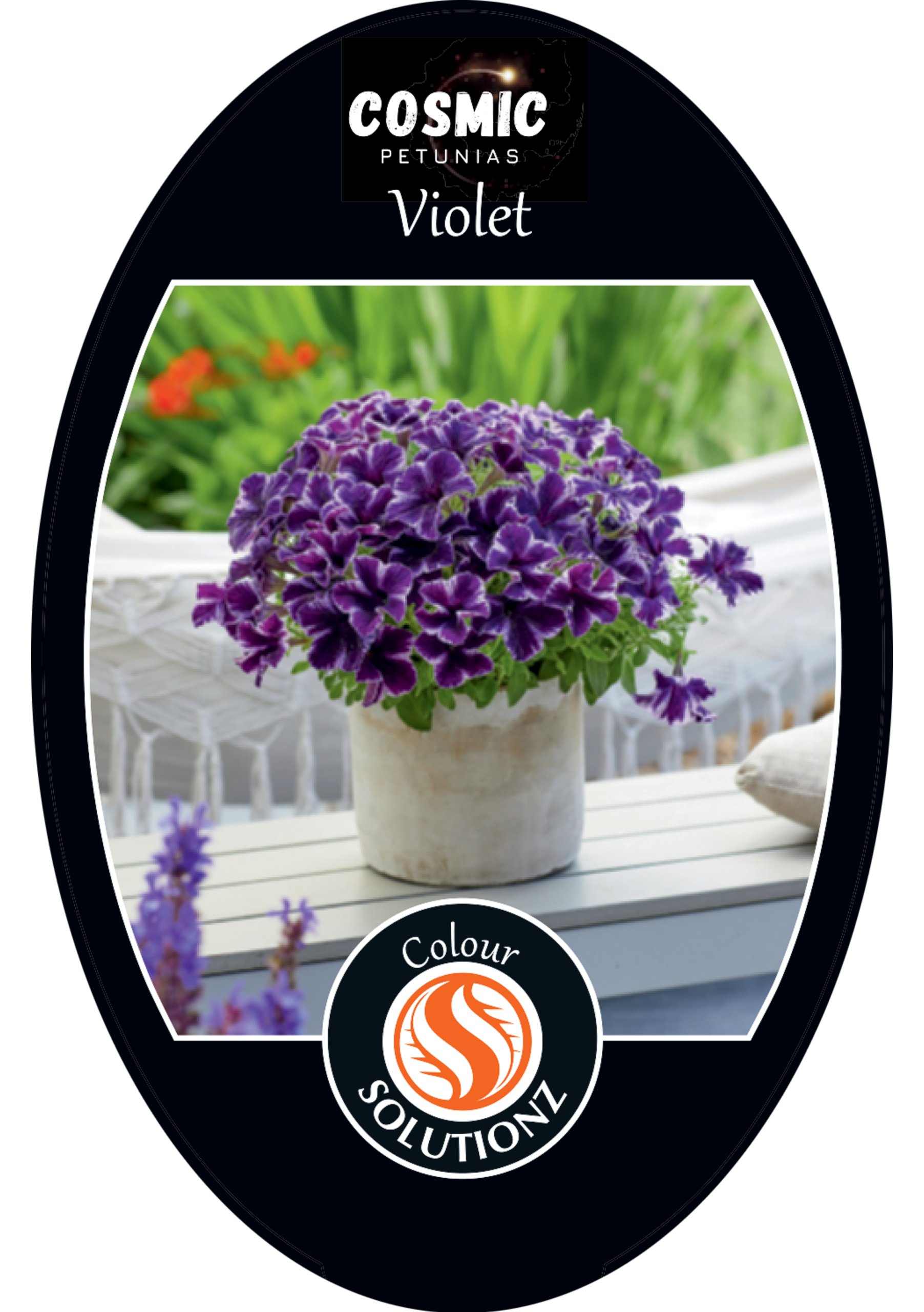 solution-section-icon