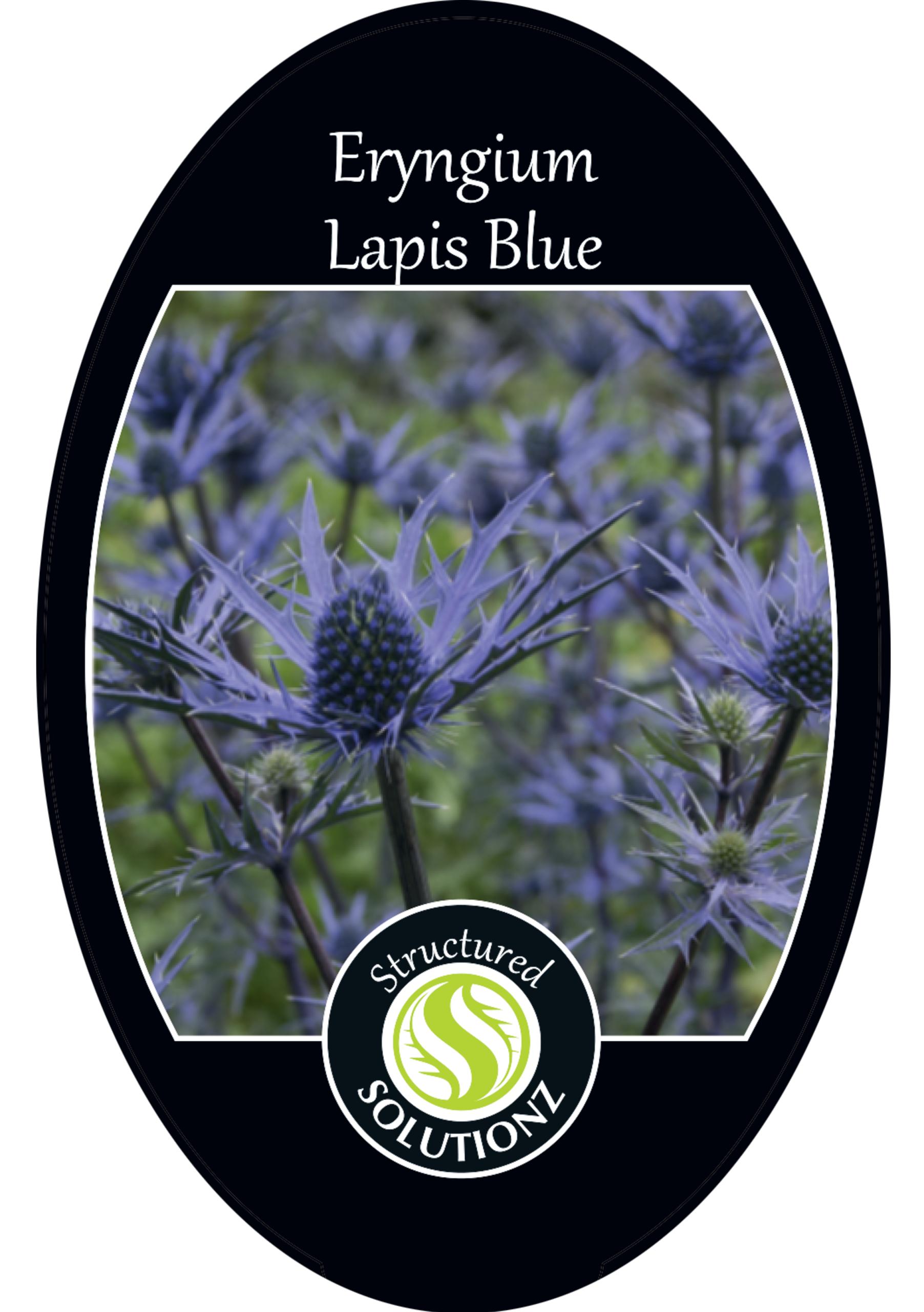 solution-section-icon