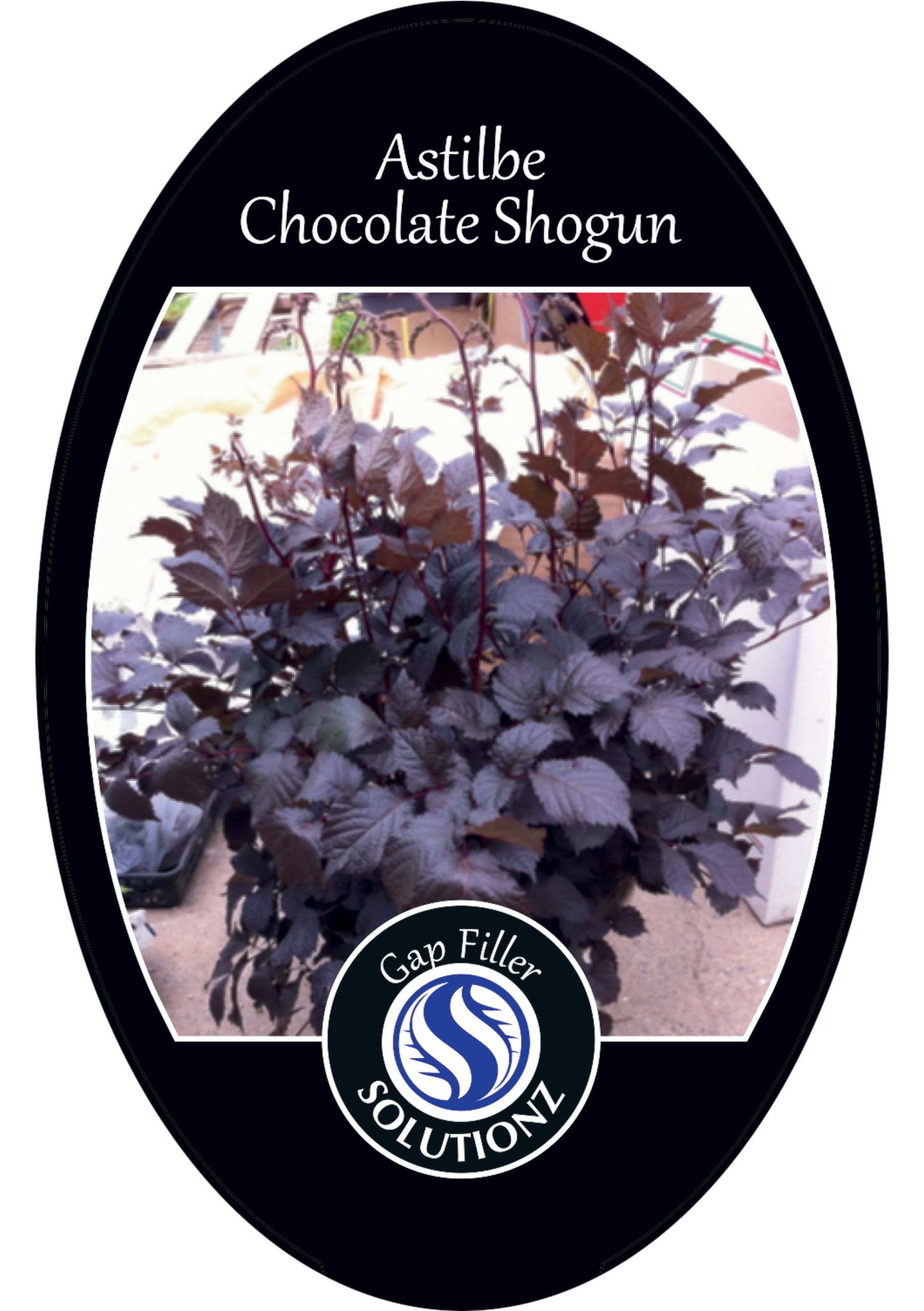 solution-section-icon