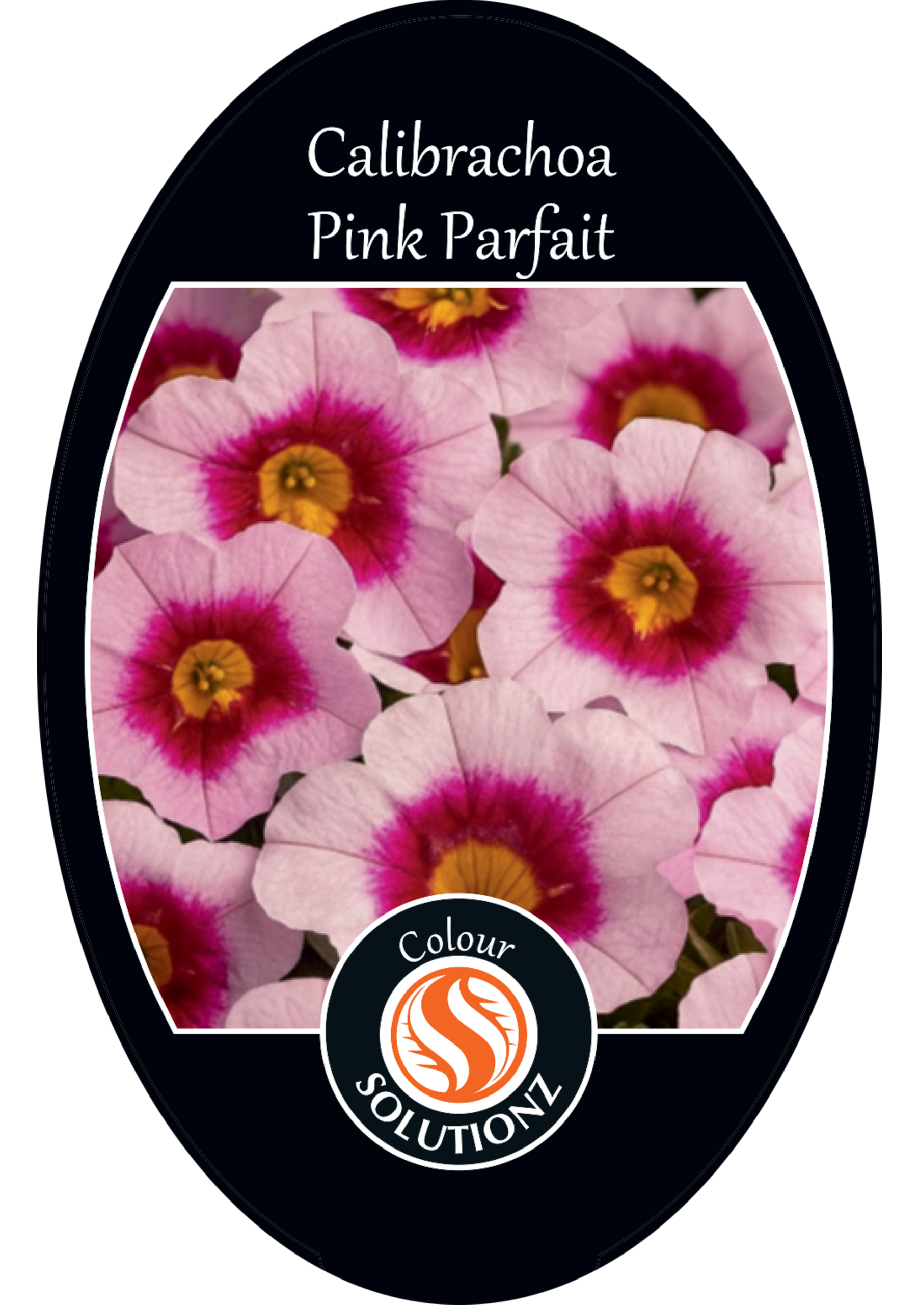 solution-section-icon