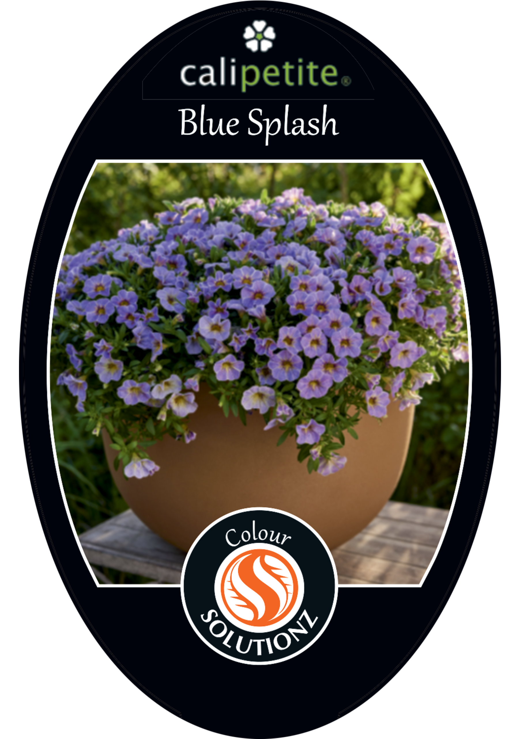 solution-section-icon