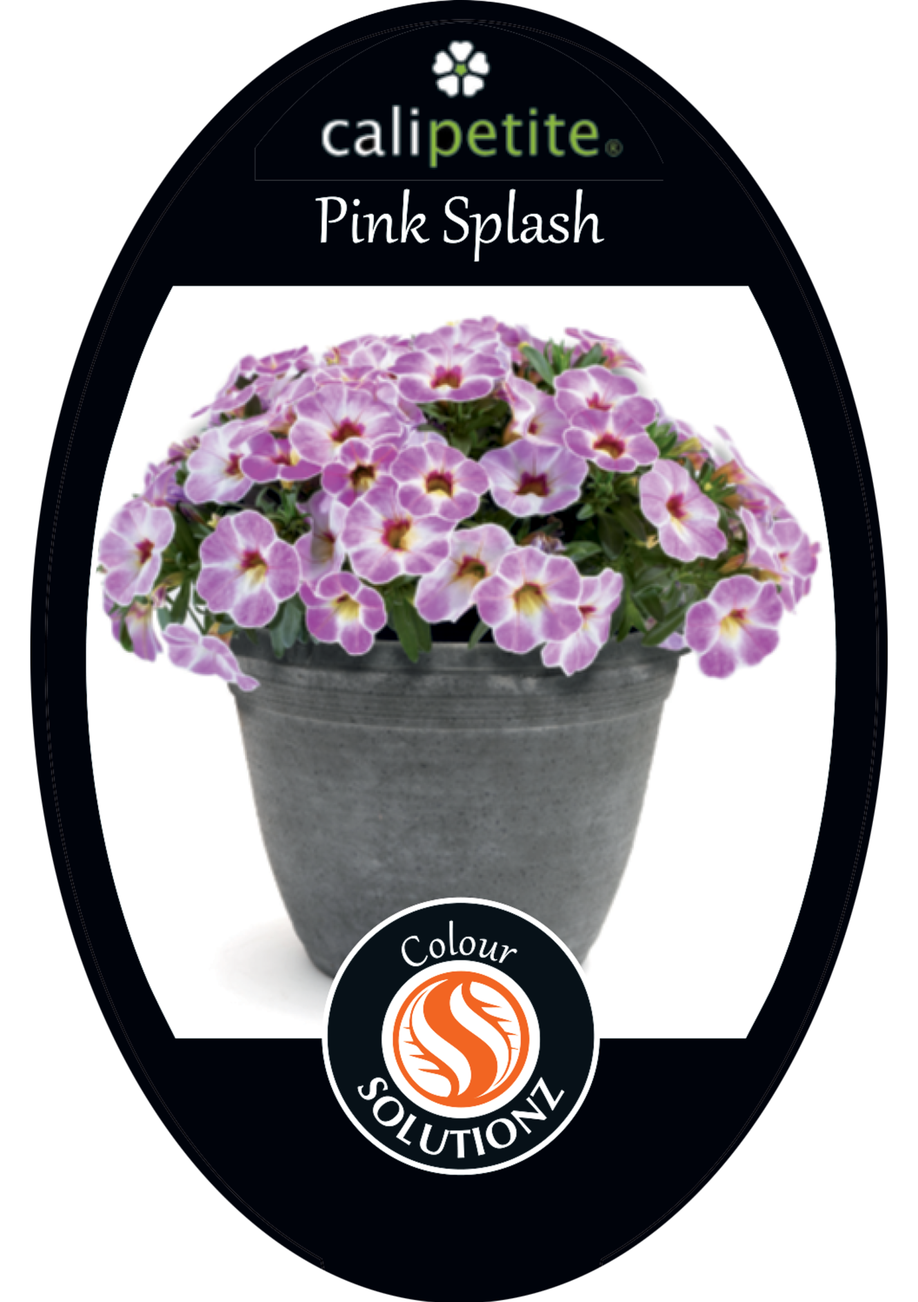 solution-section-icon