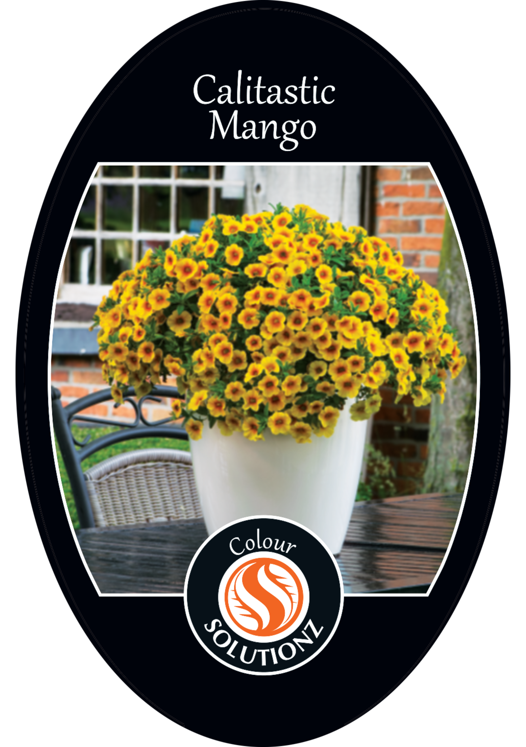 solution-section-icon