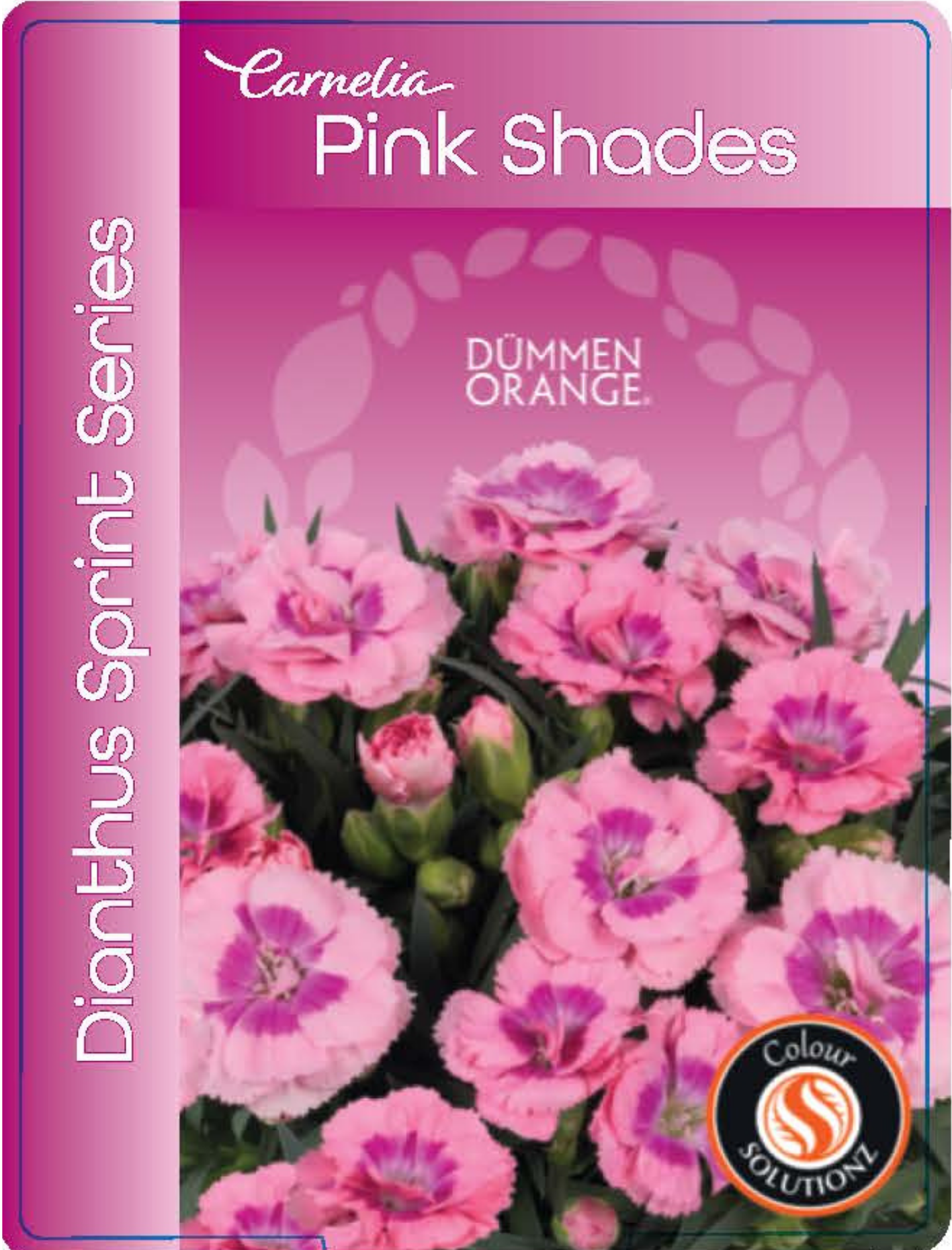 solution-section-icon