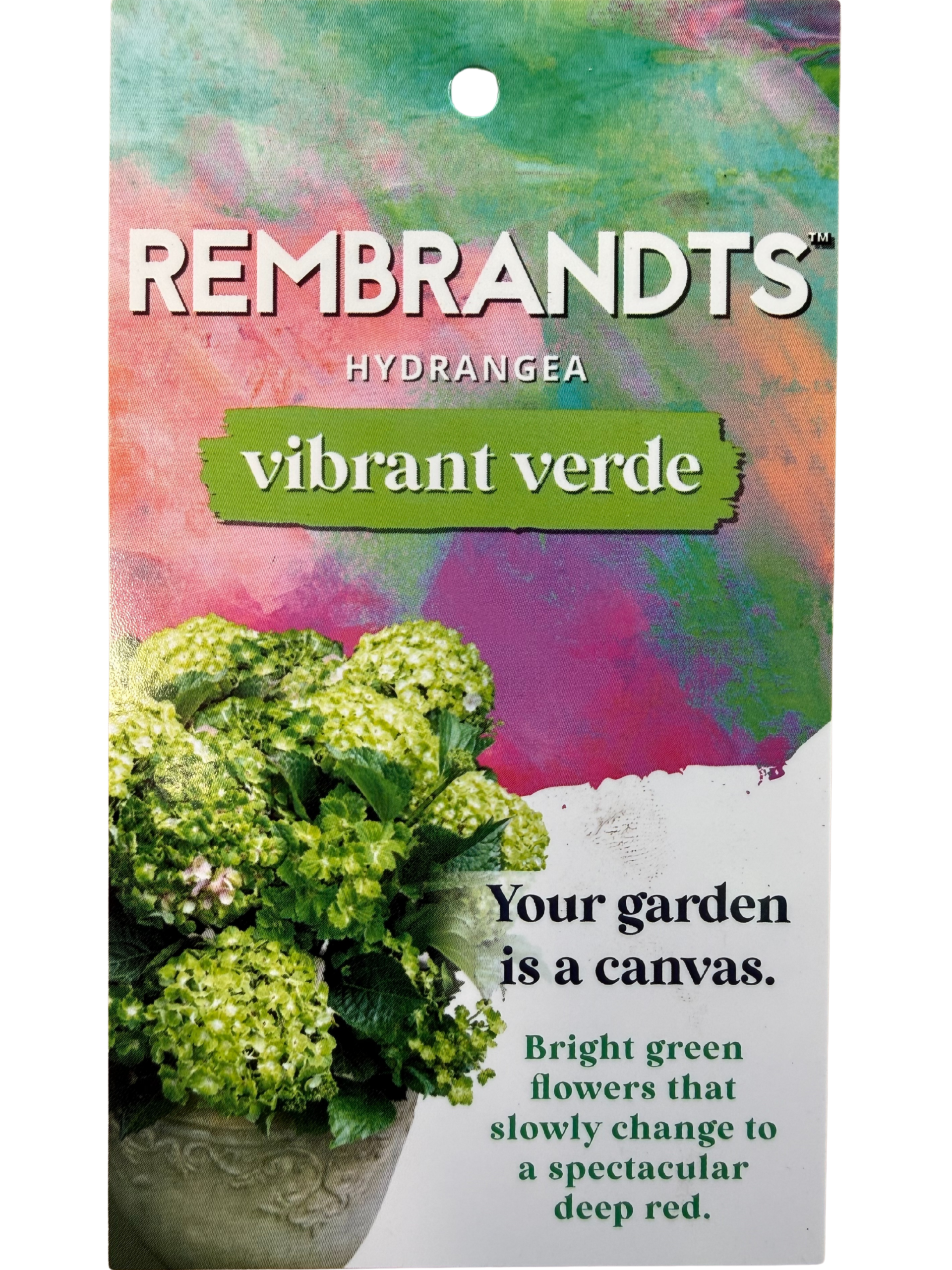 collection-section-icon