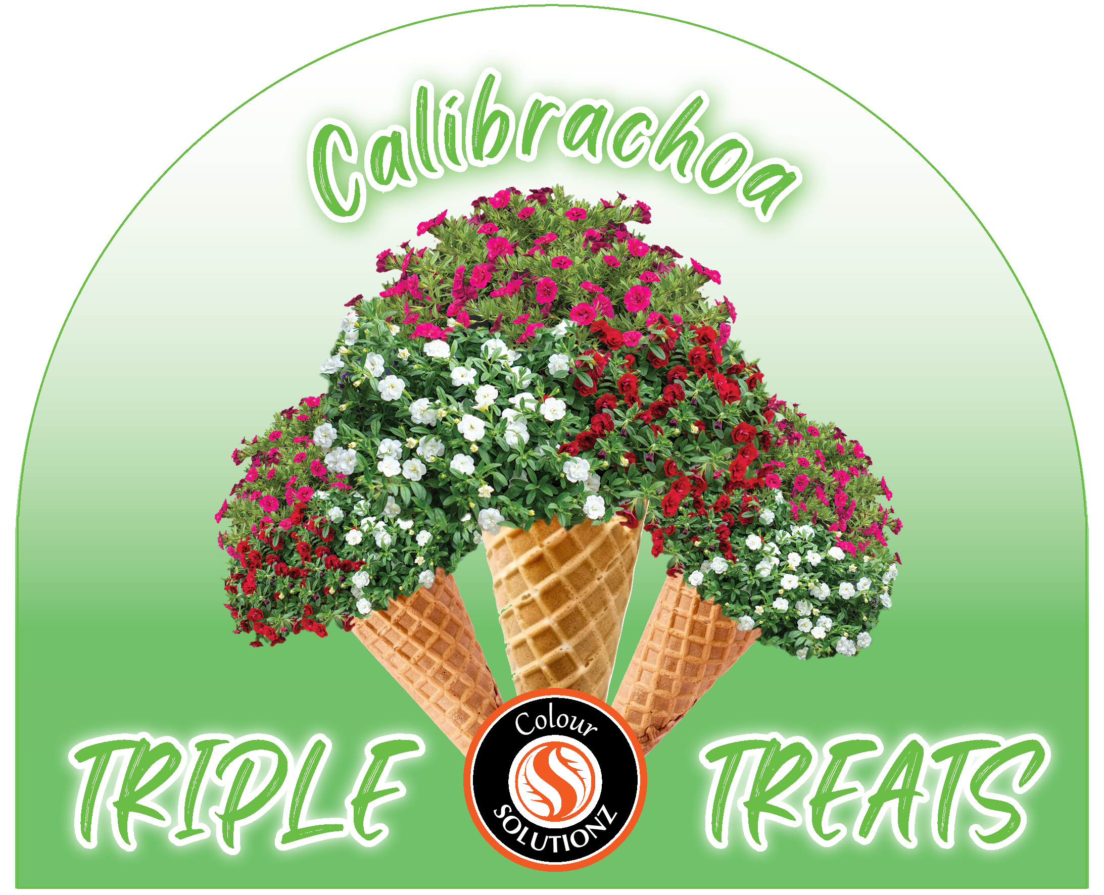 solution-section-icon