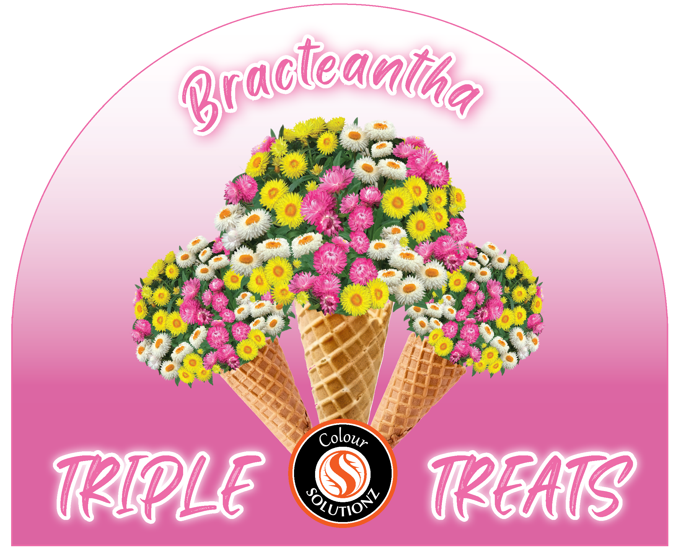 solution-section-icon