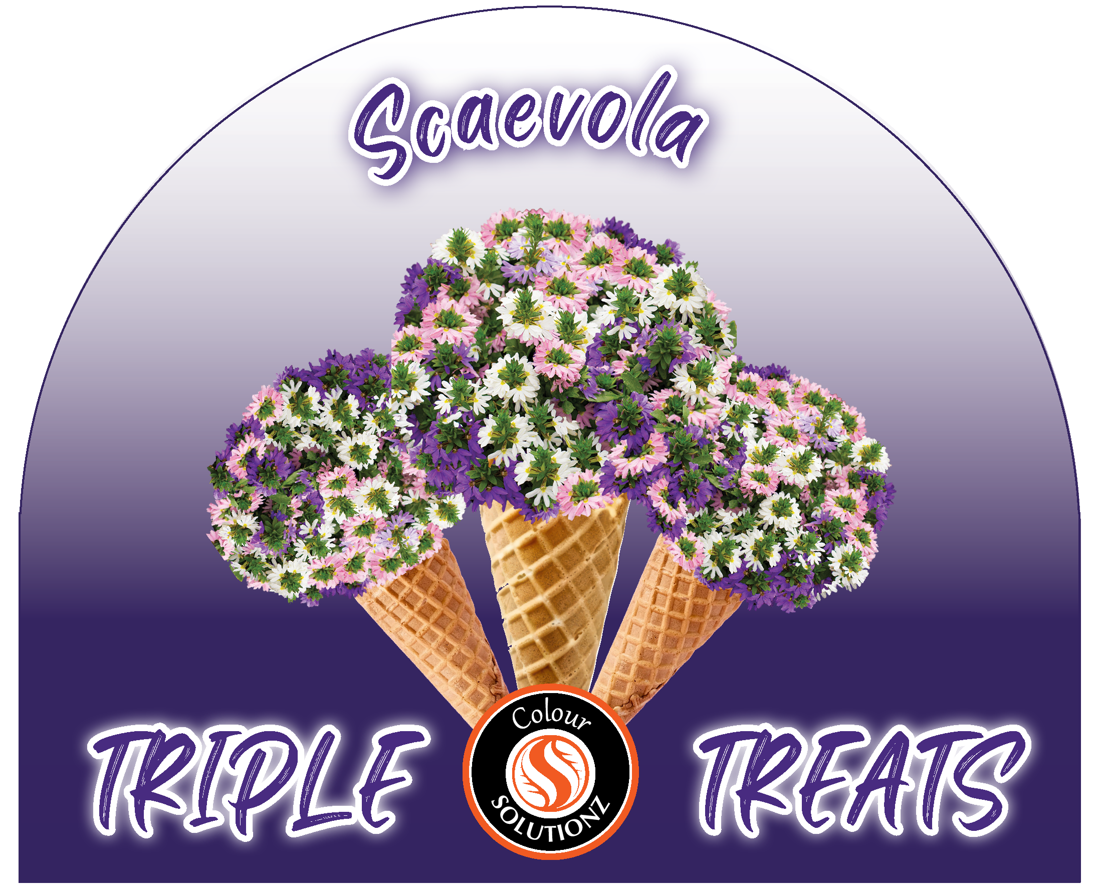 solution-section-icon